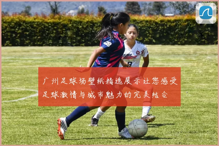 广州足球场壁纸精选展示让您感受足球激情与城市魅力的完美结合
